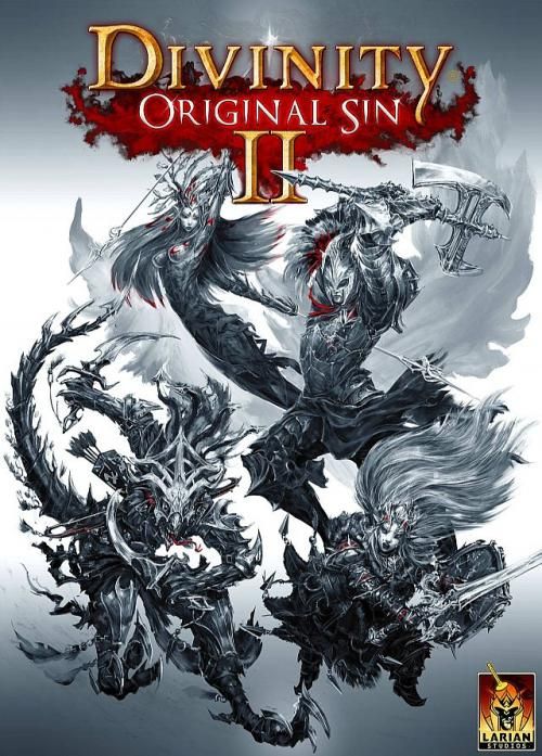 th Divinity Original Sin II w produkcji Niebawem rusza Kickstarter 150112,1.jpg